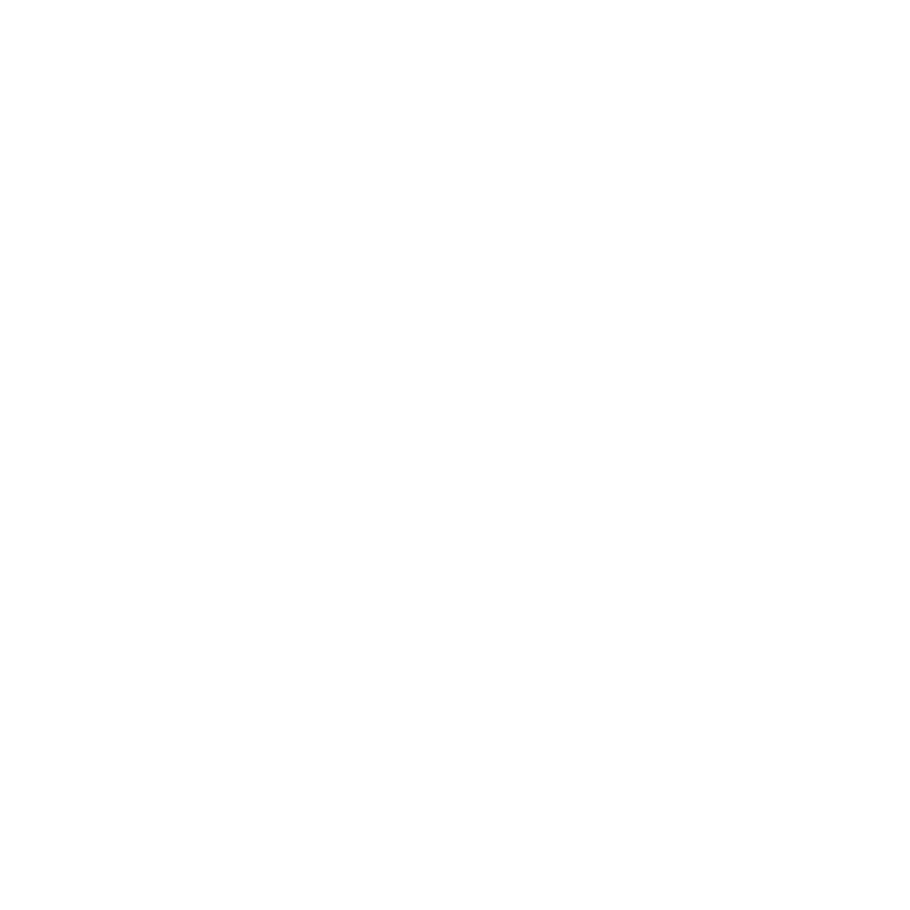 Holy Vestige Logo