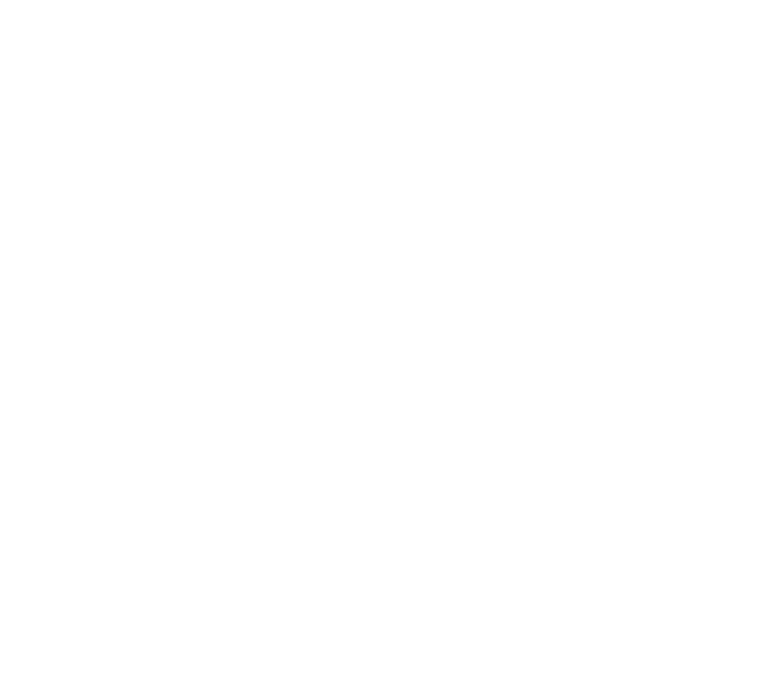 Holy Vestige Logo